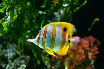 EA337587, Eastpress, Helsinki, Finland